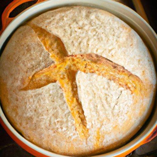 whole wheat bread recipe dutch oven